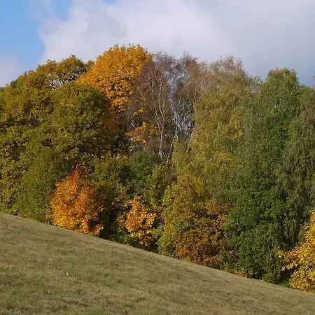 Maushaus *