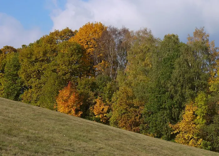 Maushaus *