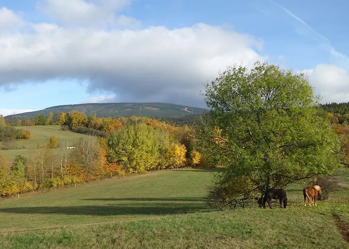Maushaus